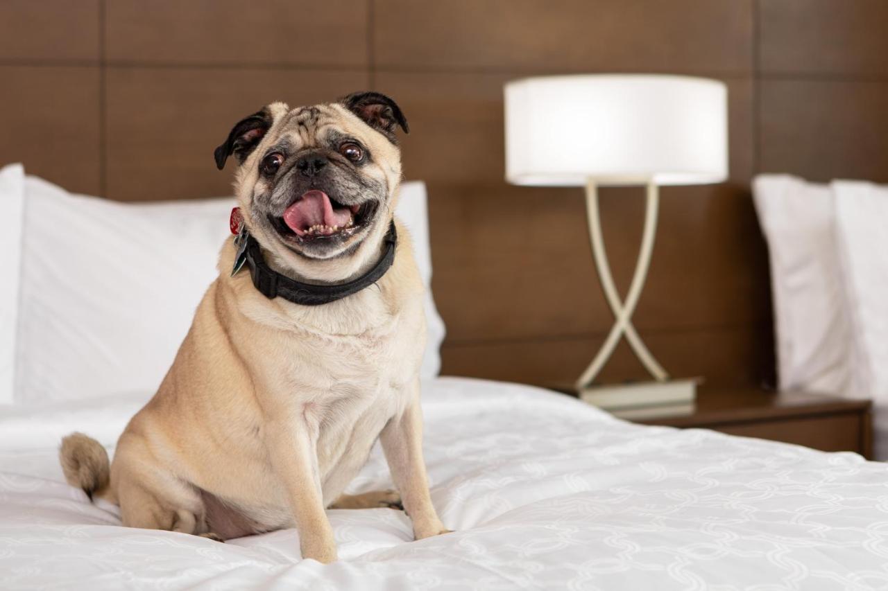 Staybridge Suites Charlottesville Airport By Ihg Buitenkant foto